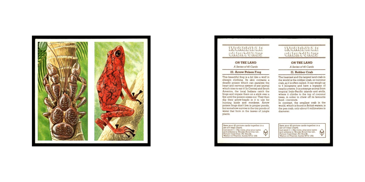Robber Crab Arrow Poison Frog 1985 #21/22 NM