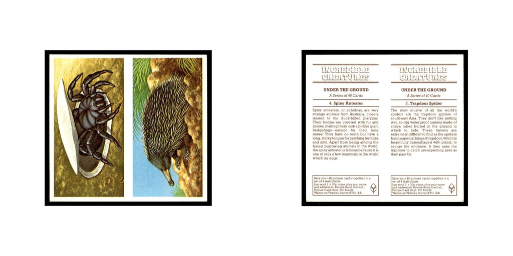 Trapdoor Spider Spiny Anteater 1985 #3/4 NM