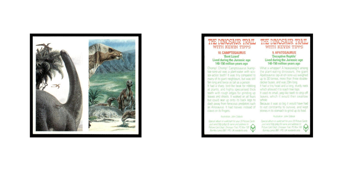 Apatosaurus Camptosaurus 1993 #9/10 NM