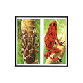 Robber Crab Arrow Poison Frog 1985 #21/22 NM