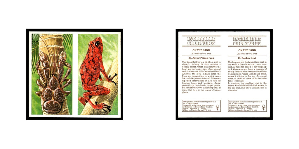 Robber Crab Arrow Poison Frog 1985 #21/22 NM