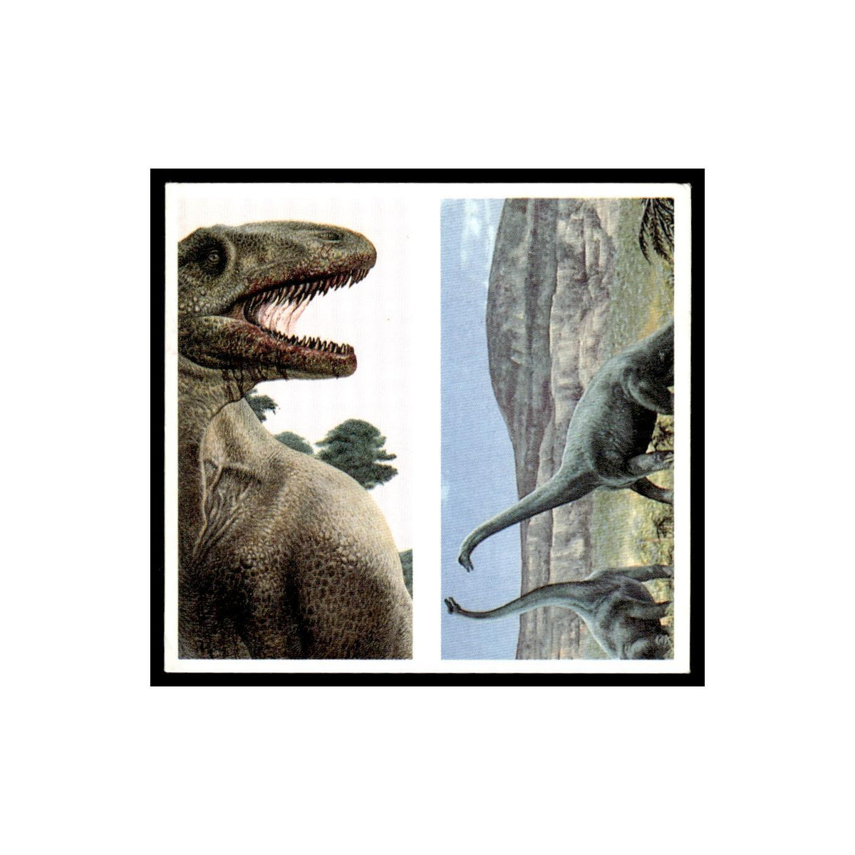 Allosaurus Brachiosaurus 1993 Brooke Bond The Dinosaur Trail Double Card #7/8 NM