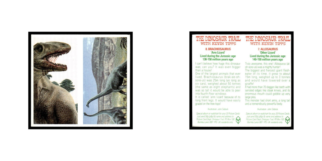 Allosaurus Brachiosaurus 1993 Brooke Bond The Dinosaur Trail Double Card #7/8 NM