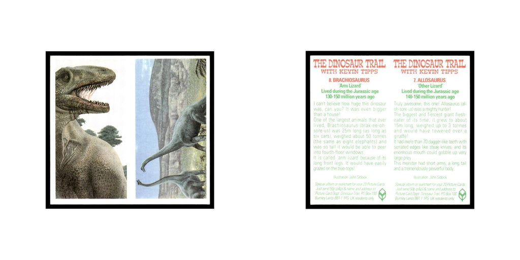 Allosaurus Brachiosaurus 1993 Brooke Bond The Dinosaur Trail Double Card #7/8 NM