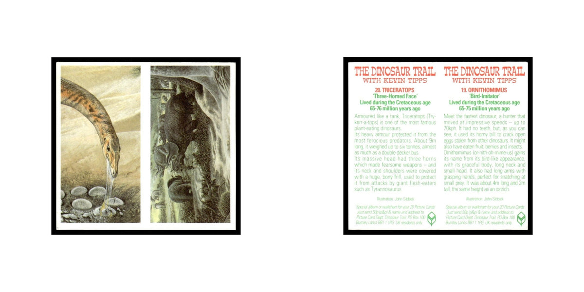 Ornithomimus Triceratops 1993 #19/20 NM