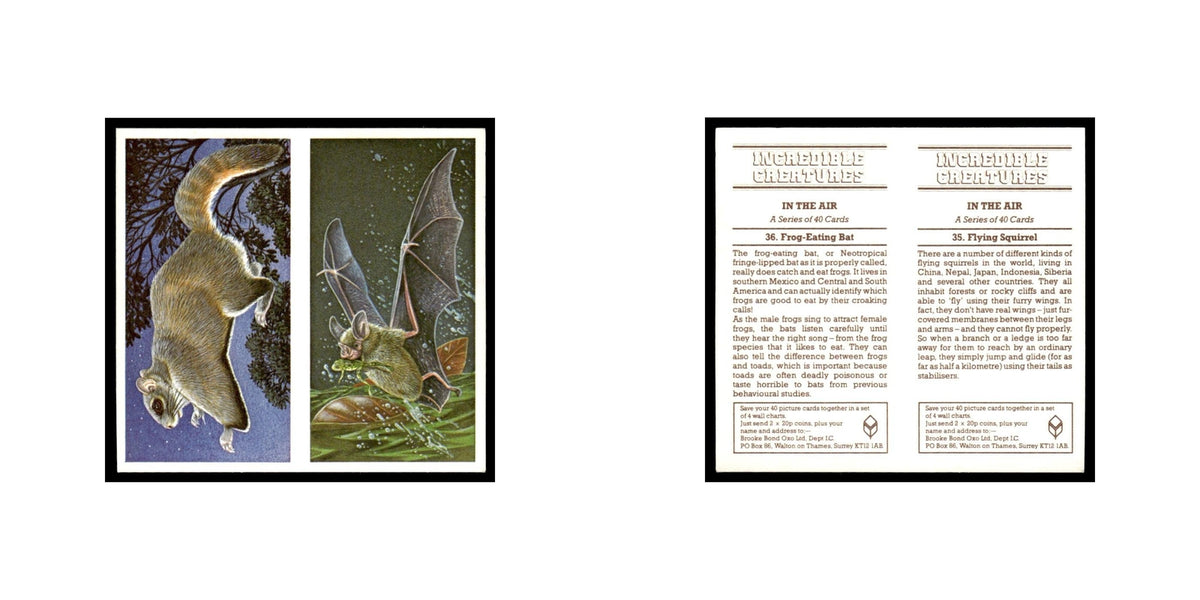 Flying Squirrel Frog Eating Bat 1985 #35/36 NM