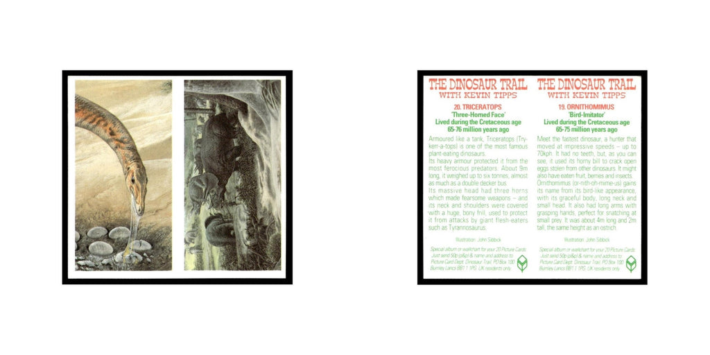 Ornithomimus Triceratops 1993 #19/20 NM