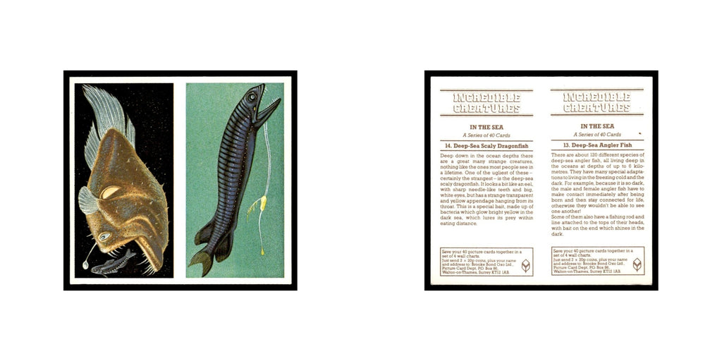 Angler Fish Scaly Dragonfish 1985 #13/14 NM