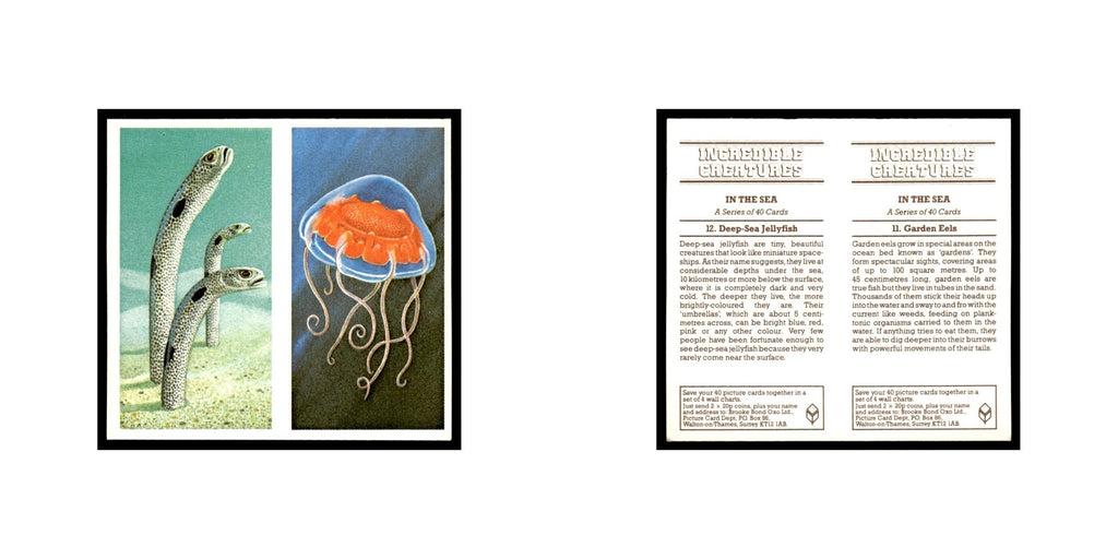 Garden Eels Deep Sea Jellyfish 1985 #11/12 NM