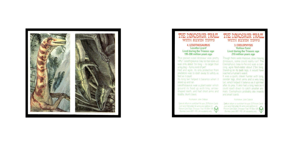 Coelophysis Lesothosaurus 1993 #3/4 NM