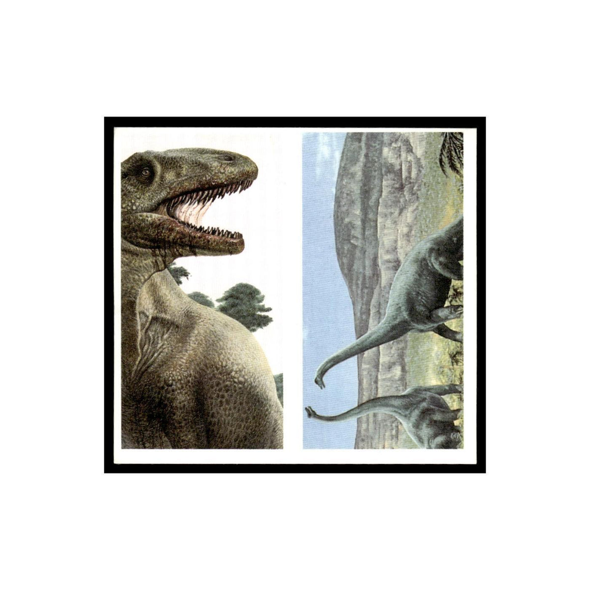 Allosaurus Brachiosaurus 1993 Brooke Bond The Dinosaur Trail Double Card #7/8 NM
