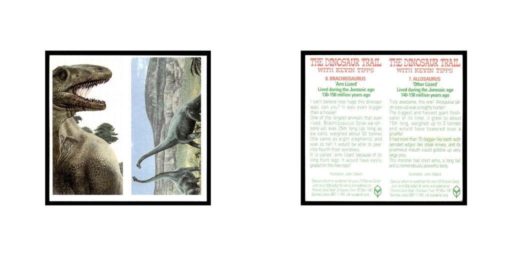 Allosaurus Brachiosaurus 1993 Brooke Bond The Dinosaur Trail Double Card #7/8 NM
