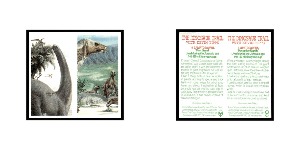 Apatosaurus Camptosaurus 1993 #9/10 NM