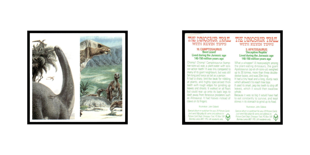 Apatosaurus Camptosaurus 1993 #9/10 NM