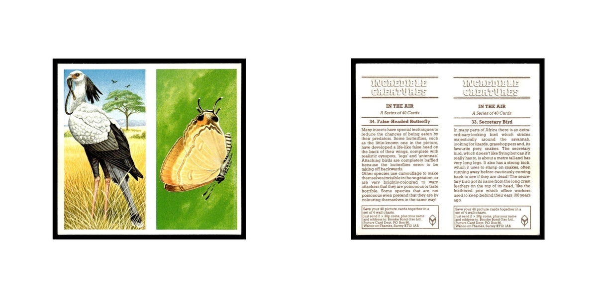 Secretary Bird False Headed Butterfly 1985 #33/34 NM