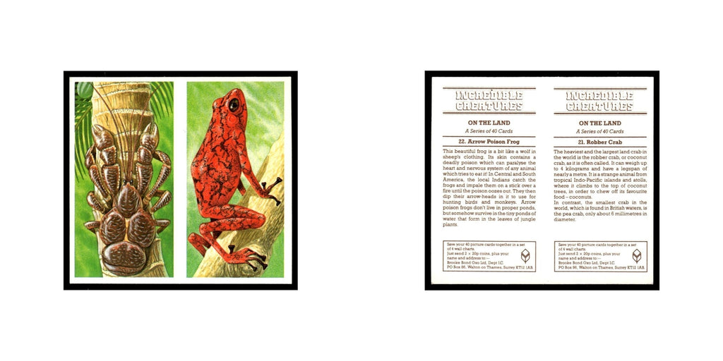 Robber Crab Arrow Poison Frog 1985 #21/22 NM