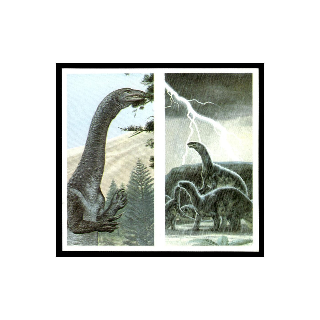 Massospondylus Plateosaurus 1993 #1/2 NM
