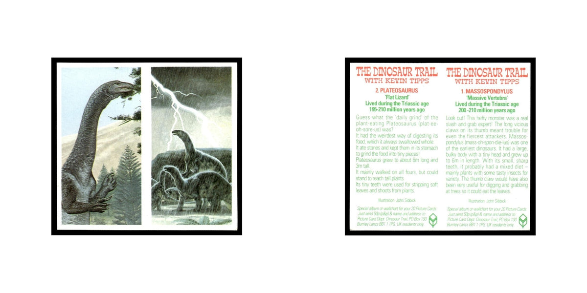 Massospondylus Plateosaurus 1993 #1/2 NM