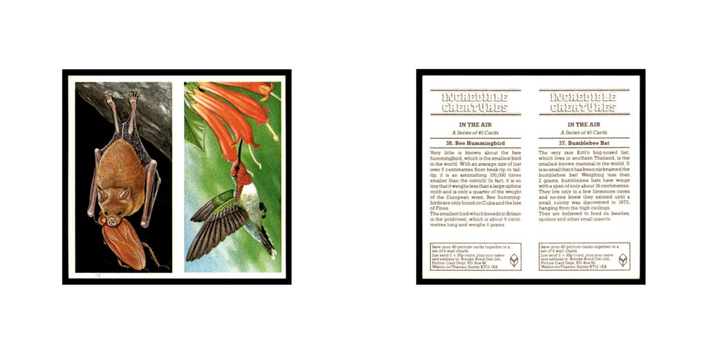 Bumblebee Bat Bee Hummingbird 1985 #37/38 NM