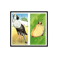 Secretary Bird False Headed Butterfly 1985 #33/34 NM