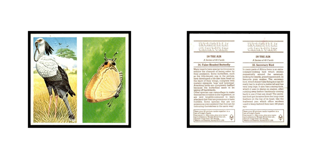 Secretary Bird False Headed Butterfly 1985 #33/34 NM