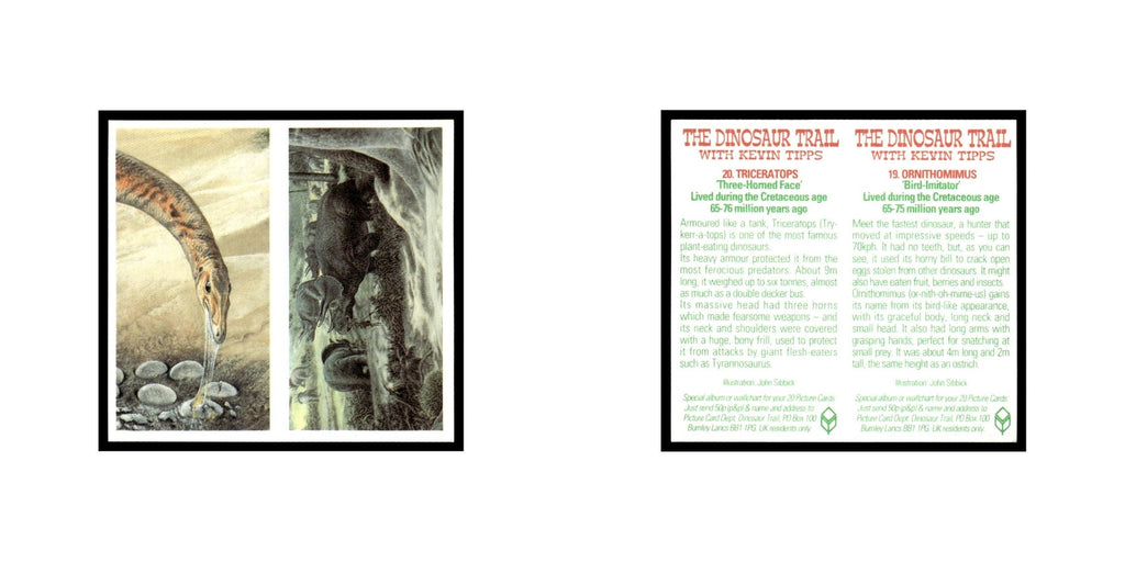 Ornithomimus Triceratops 1993 #19/20 NM