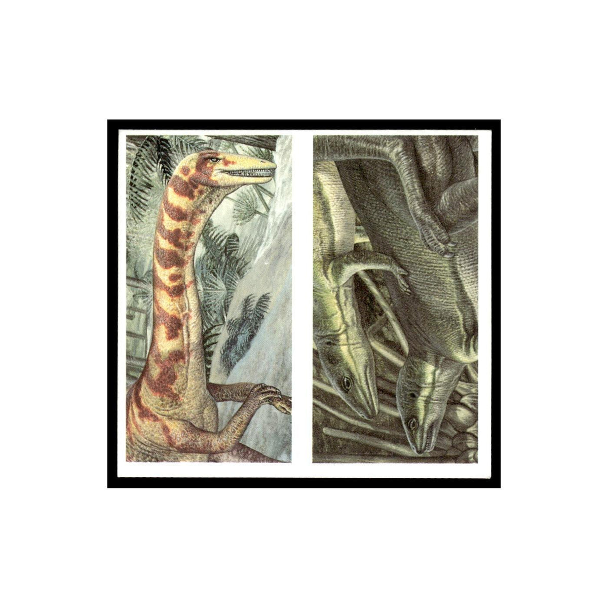 Coelophysis Lesothosaurus 1993 #3/4 NM