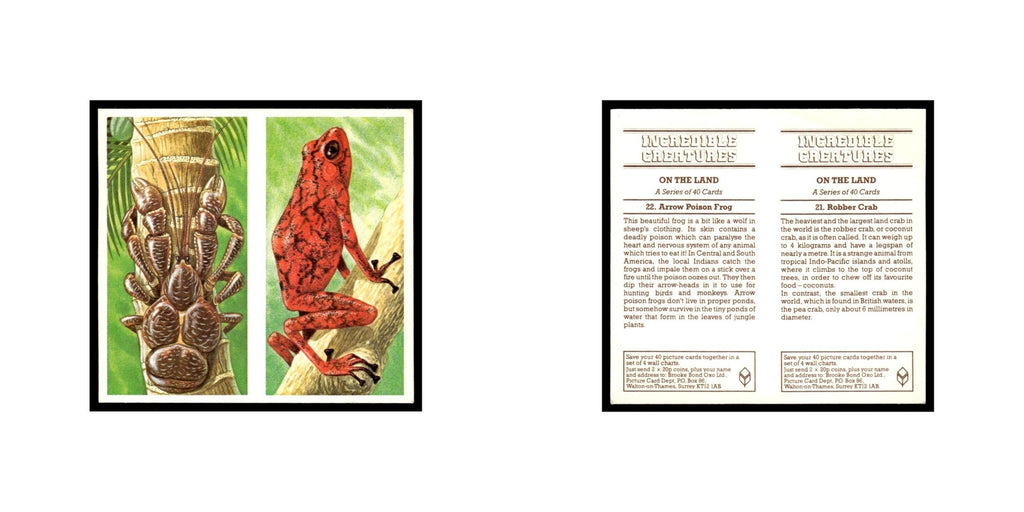 Robber Crab Arrow Poison Frog 1985 #21/22 NM