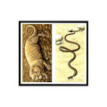 Naked Mole Rat Pencil Lead Snake 1985 #5/6 NM