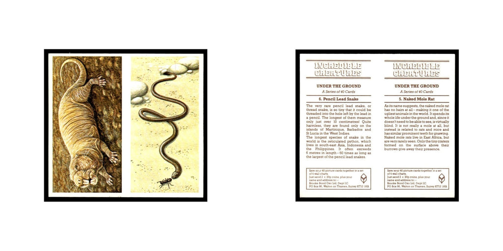 Naked Mole Rat Pencil Lead Snake 1985 #5/6 NM