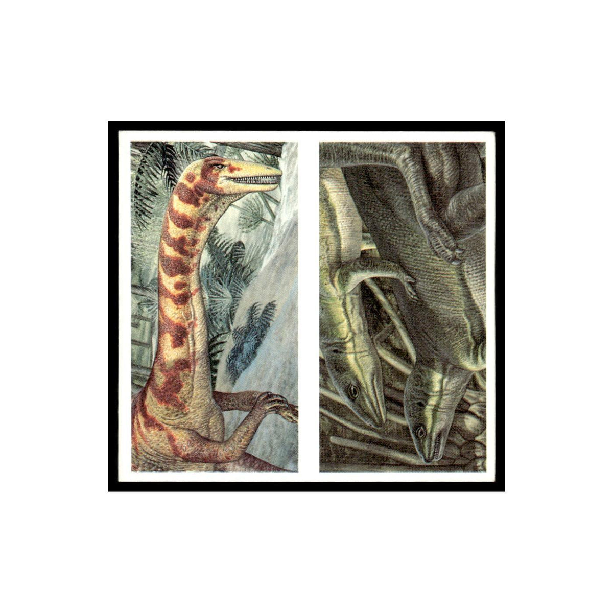 Coelophysis Lesothosaurus 1993 #3/4 NM