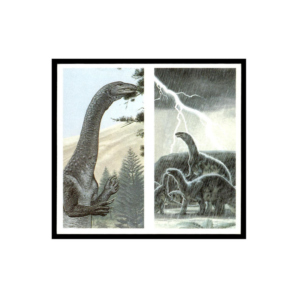 Massospondylus Plateosaurus 1993 #1/2 NM