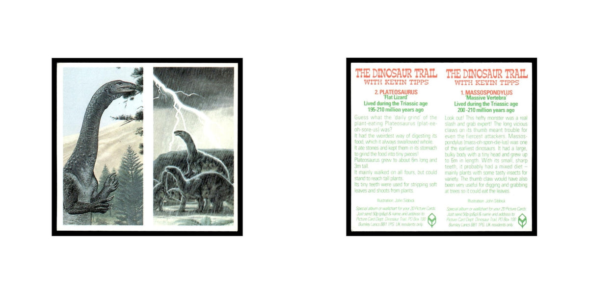 Massospondylus Plateosaurus 1993 #1/2 NM