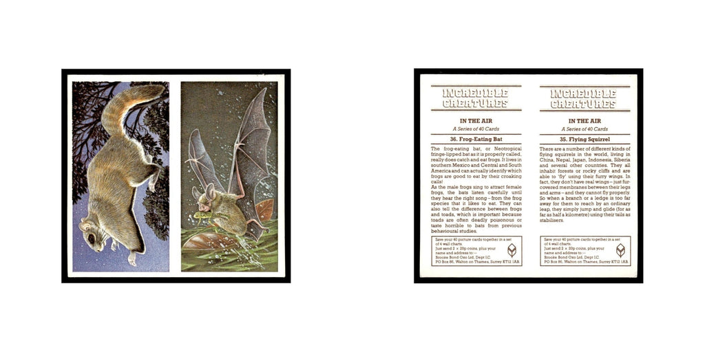 Flying Squirrel Frog Eating Bat 1985 #35/36 NM