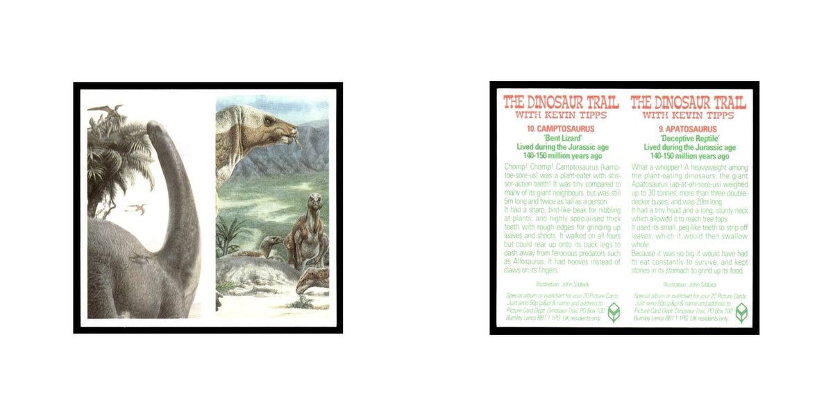 Apatosaurus Camptosaurus 1993 #9/10 NM