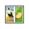 Secretary Bird False Headed Butterfly 1985 #33/34 NM