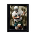 Rob Konrad 1999 Skybox Dominion #215 Miami Dolphins Football Card NM
