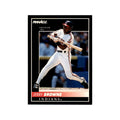 1992 Pinnacle Jerry Browne Baseball Cards #208