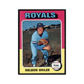1975 Topps Nelson Briles Royals #495