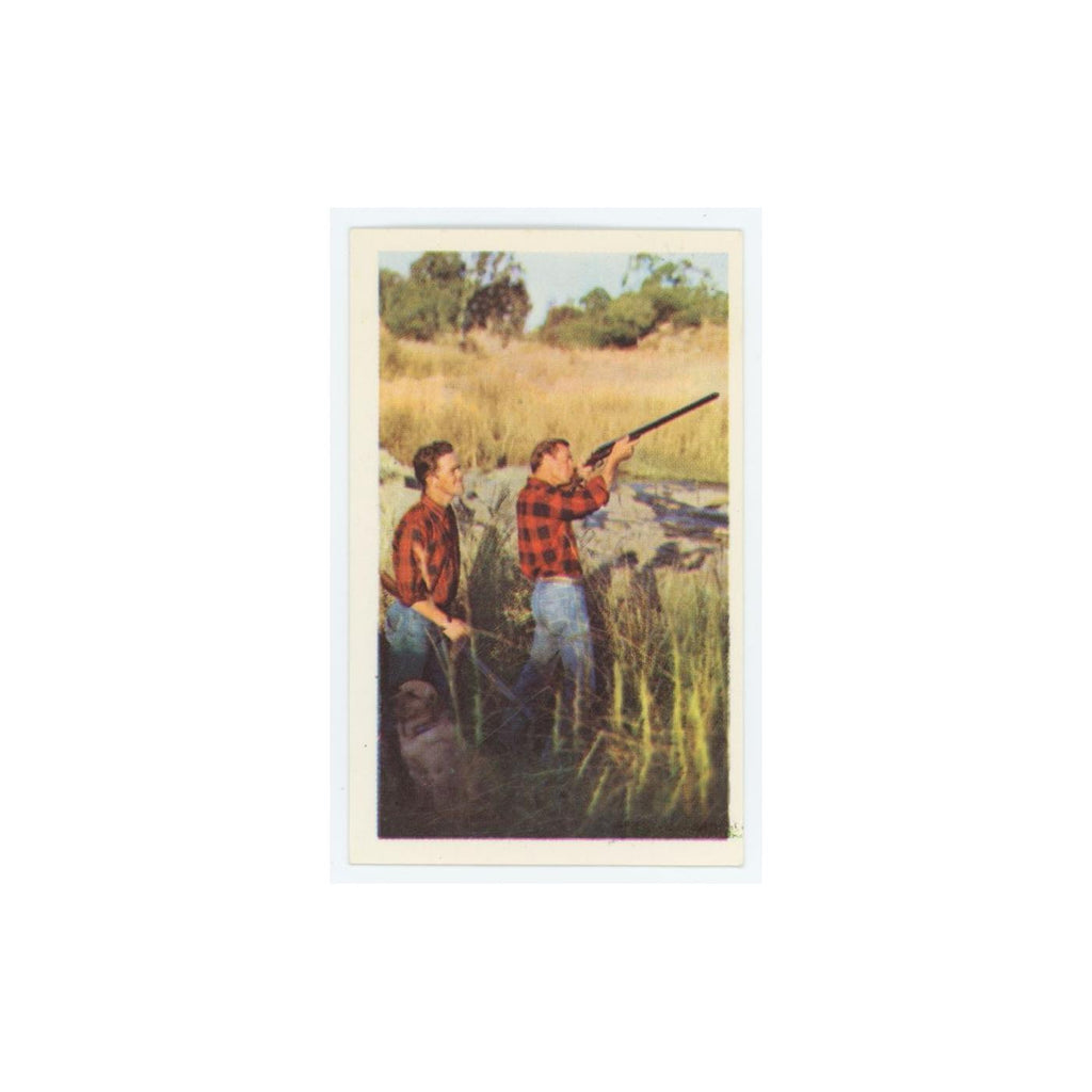 1970 Trucard Sport Game Shooting #11