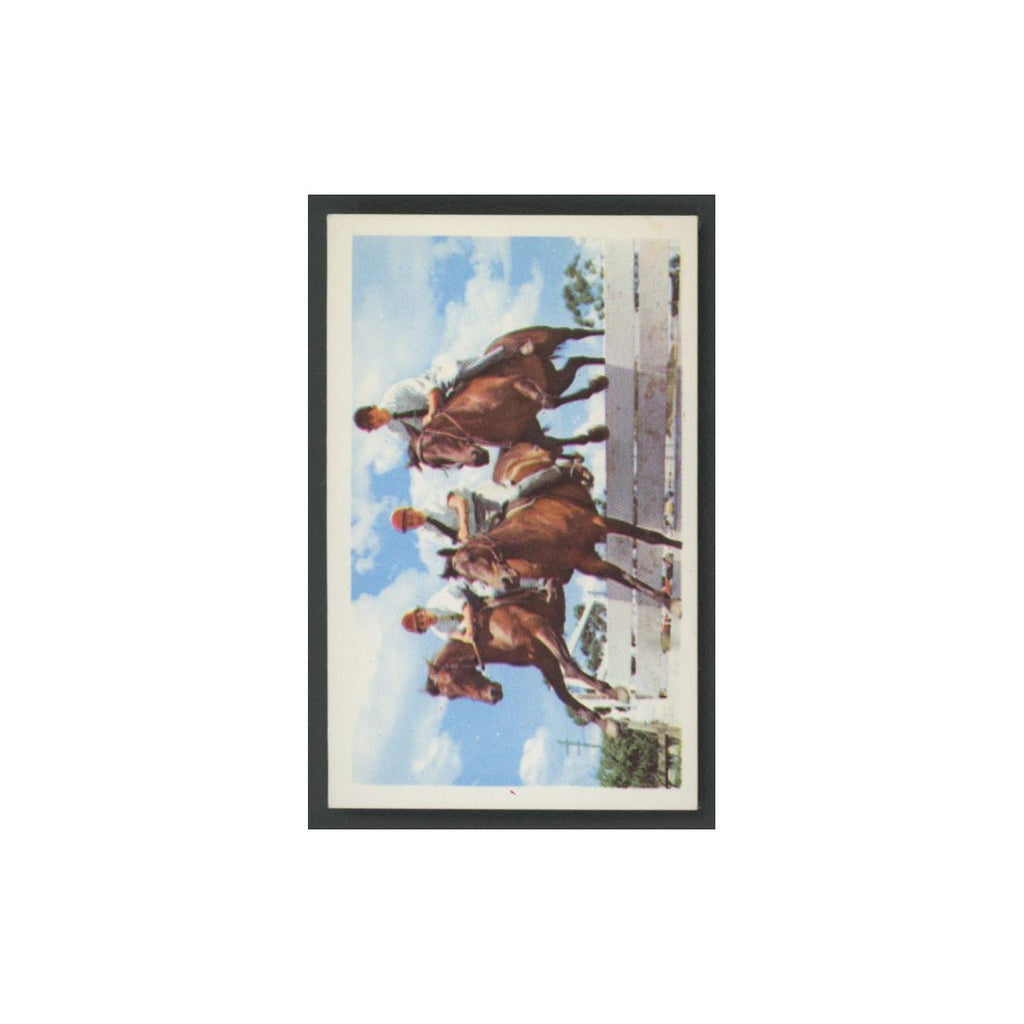 1970 Trucard Sport Show Jumping #8