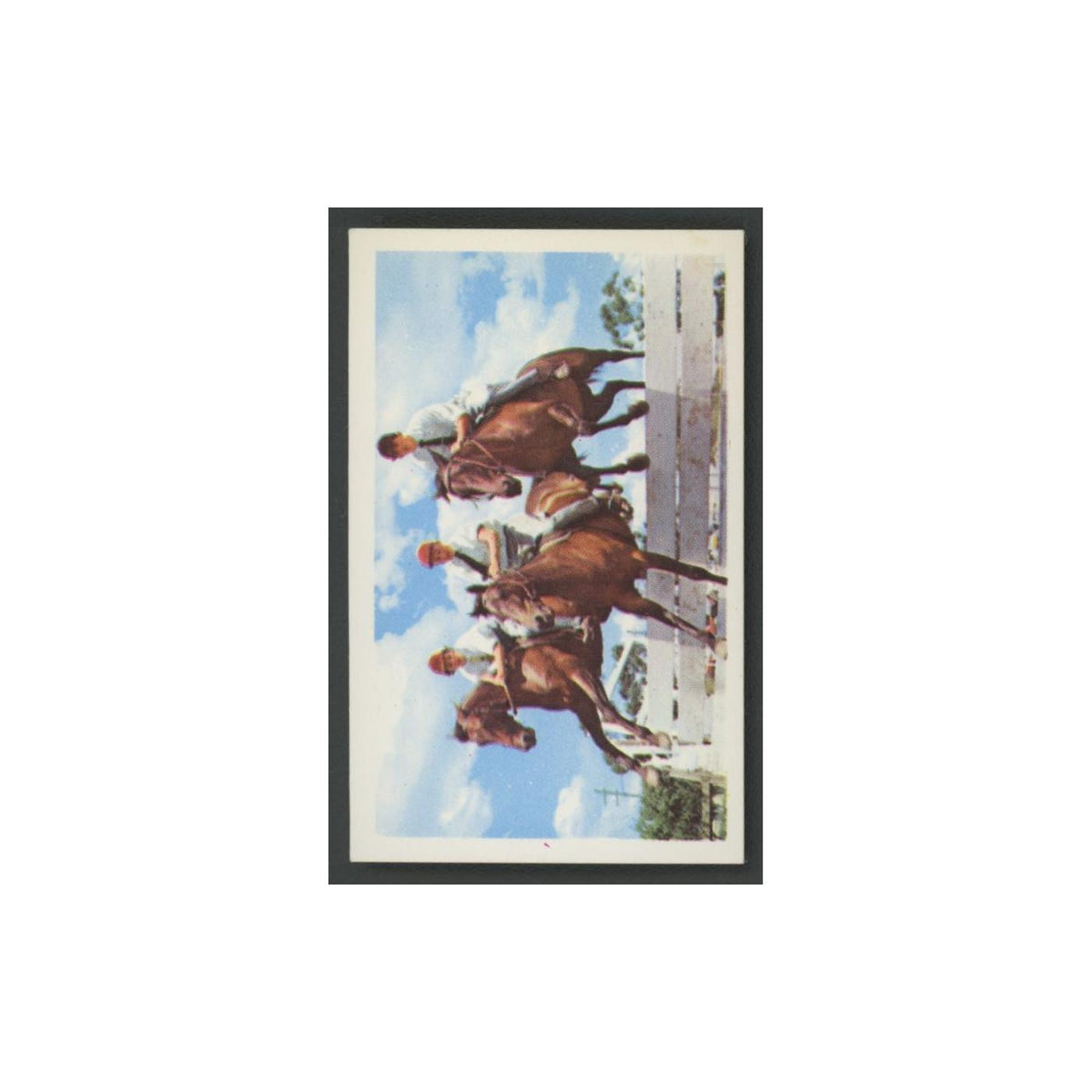 1970 Trucard Sport Show Jumping #8