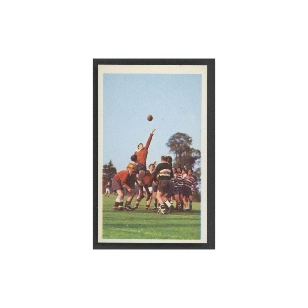 1970 Trucard Sport Rugby Union #7