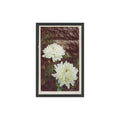 1970 Trucards Flowers Chrysanthemum #23
