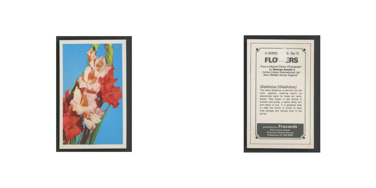 1970 Trucards Flowers Gladiolus #12