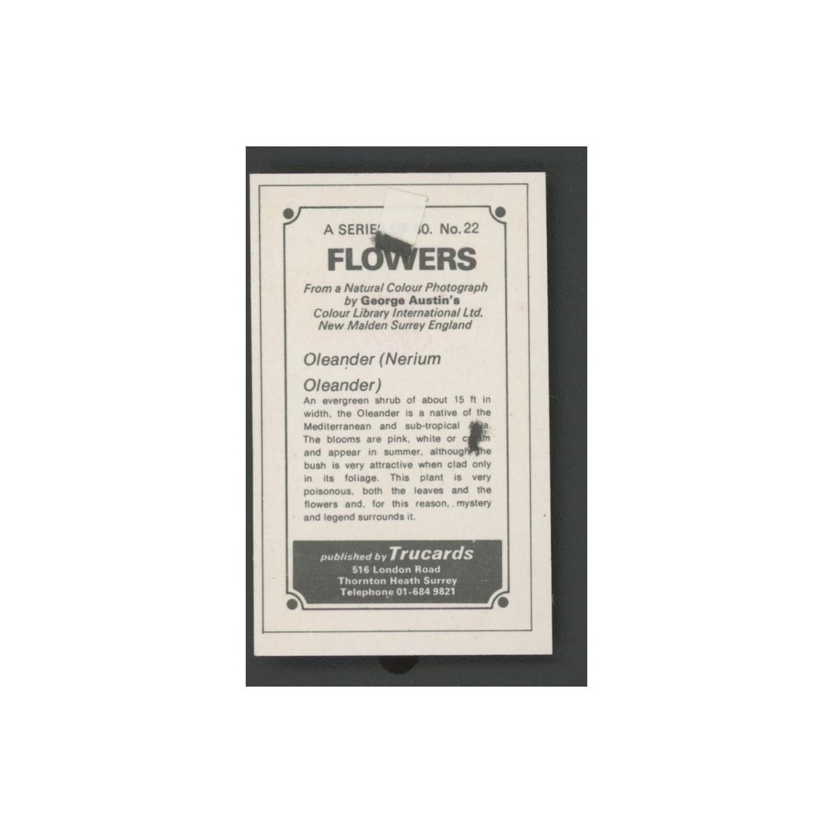 1970 Trucards Flowers Oleander #22