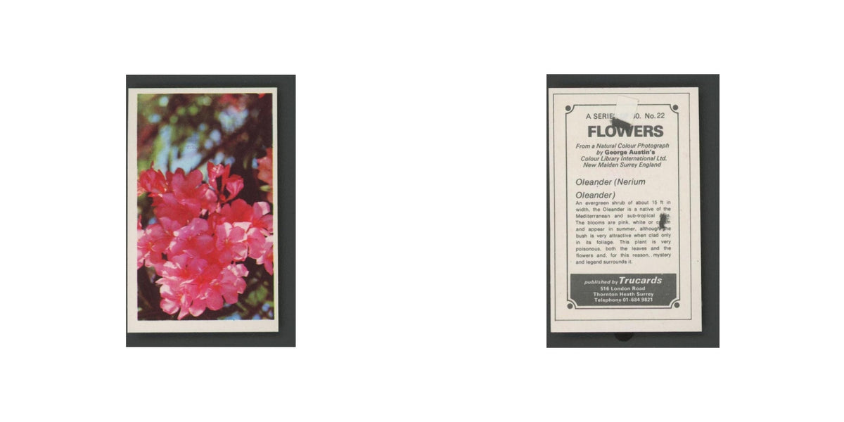 1970 Trucards Flowers Oleander #22