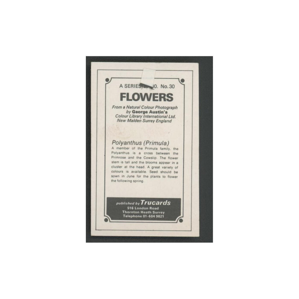 1970 Trucards Flowers Polyanthus (Primula) #30