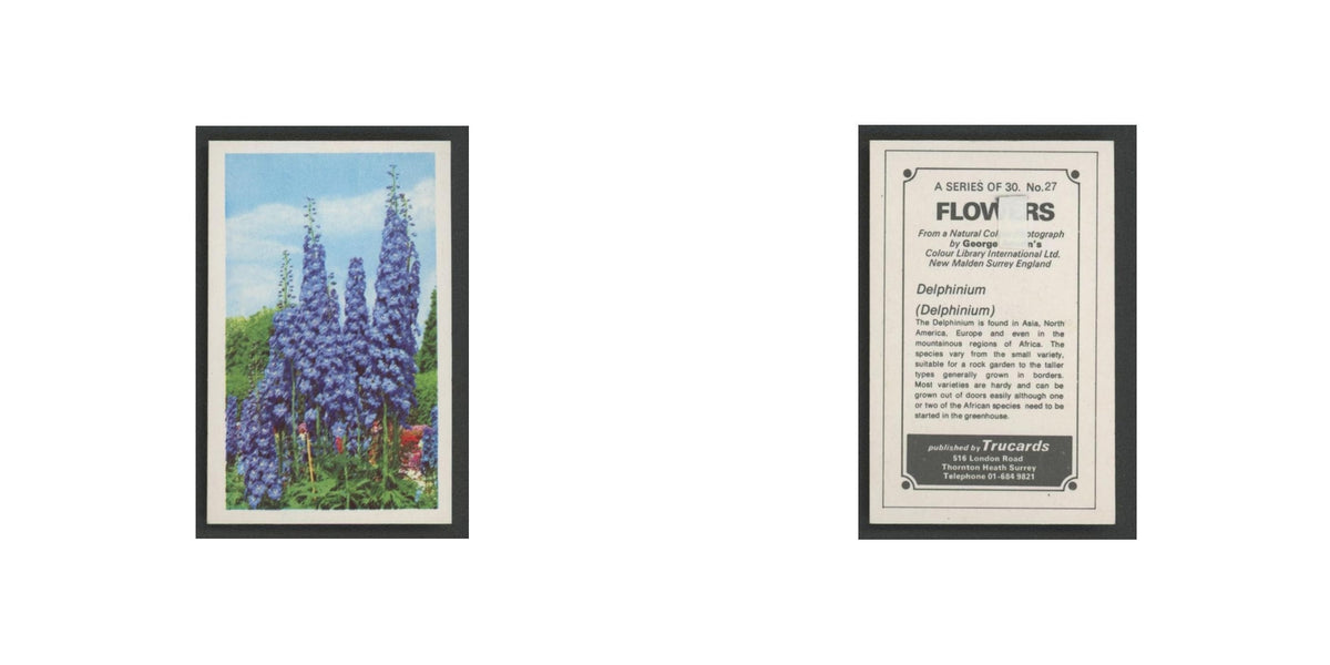 1970 Trucards Flowers Delphinium #27
