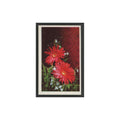 1970 Trucards Flowers Gerbera #18